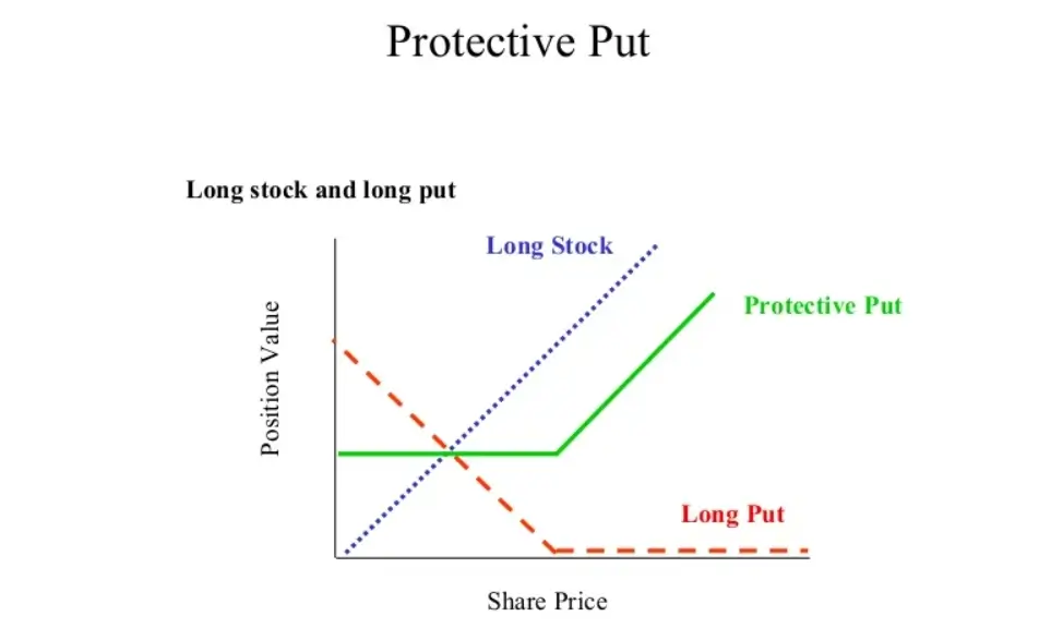Protective Put Pay-Off Chart