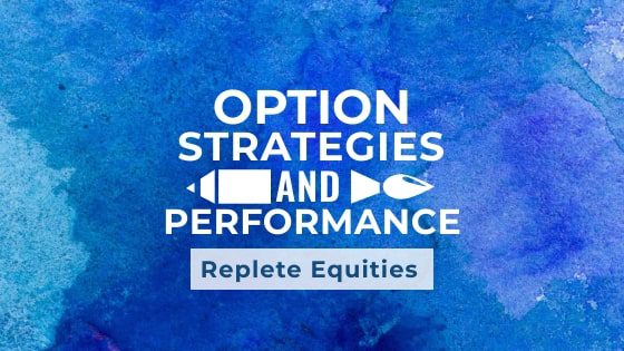 Performance of the Option strategies